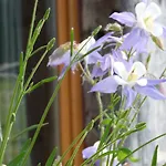 Sous La Garenne Conteville (Eure)