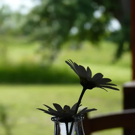 Sous La Garenne * Conteville (Eure)