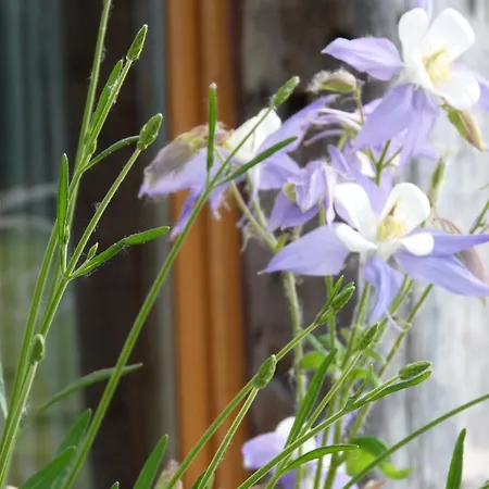 Sous La Garenne Conteville (Eure)