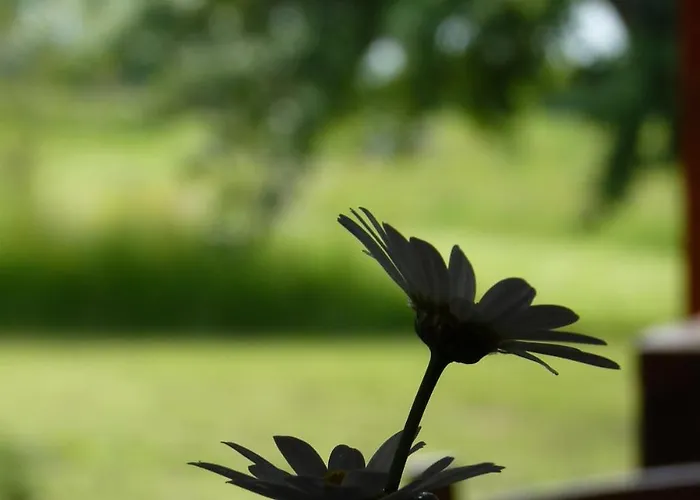 Sous La Garenne * Conteville (Eure)